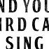 The Beatles And Your Bird Can Sing