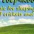 Музыка для сна Стрекотание сверчков и кузнечиков Music For Sleeping The Chirping Of Crickets