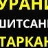 УШБУ СУРАНИ ХАР КУНИ УҚИНГ ЁКИ ЭШИТИНГ Кучли дуо суралар Al Dostaki