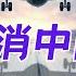 外国航空公司为啥纷纷取消飞中国航线 回国的机票会涨价吗 昆哥播客EP112