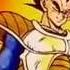 Vegeta Past