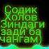 СОДИК ХОЛОВ Мусикии точики Зиндаги зади ба чангам Avm 2021