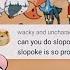 The Propoke Sweeps Slowpoke Sweep Pokemonshowdown Sweep