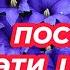 ЧТО ПОСЕЯТЬ В ДЕКАБРЕ Посейте эти красивые цветы для украшения вашего сада