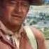 John Wayne Big Jake Every Mother S Son Of Ya