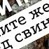 Не давайте святыни псам и не мечите бисер перед свиньями Толкование Максим Каскун