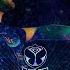 Paul Kalkbrenner Feed Your Head Live At Tomorrowland 22 Paulkalkbrenner Tomorrowland