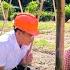 Mother Was More Optimistic When The Man Came To Visit And Helped Build The Bean Trellis