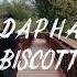 QuayDaPharaoh Biscotti OFFICIAL MUSIC VIDEO