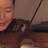 Jai Ho Slumdog Millionaire Violinist Kohei Short Version