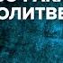 Делать ли 20 ракаатов таравих намаза за имамом шейх Абдур Раззак аль Бадр