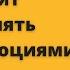 Эмоциональный интеллект Российская практика Сергей Шабанов и Алена Алешина Аудиокнига