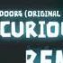 Doors Curious Light Remix