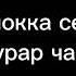 Тыва караоке Душкужеге Байырлыг