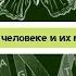 Биология 8 класс 1 Науки о человеке и их методы