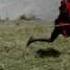 Maasai Shepherd Boys Running