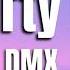 DMX Party Up Lyrics Dmx Partyup Hiphop Hiphopmusic