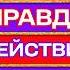 МАЙНКРАФТ НО ПРАВДА ИЛИ ДЕЙСТВИЕ С ЮТУБЕРАМИ Домер