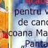 Acatistul Pentru Vindecarea De Cancer Către Icoana Maicii Domnului Pantanassa Slujitor Dani