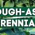 No Green Thumb Needed 7 Tough As Nails Perennials