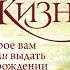 Джо Витале Руководство к жизни которое вам забыли выдать при рождении Аудиокнига