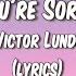 A Song By Victor Lundberg You Re Sorry Ft Astyn Turr With Lyrics