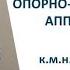 Особенности восстановления опорно двигательного аппарата к м н Антилевский Вячеслав NSP