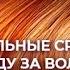 Натуральные средства по уходу за волосами запись эфира от 10 февраля 2024