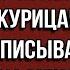 В НАШЕЙ СЕМЬЕ ТОЛЬКО МУЖЧИНЫ МОГУТ ВЛАДЕТЬ ИМУЩЕСТВОМ кричала свекровь но истории из жизни