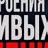 Этапы построения отношений Как построить гармоничные отношения Борис Литвак