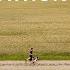 Marathon Dog A Film By Nolan Decreton How I Ran A Marathon With My Dog