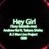 Andrew Rai Ft Tatiana Shirko 2 Man Live Project Hey Girl Tony Gastello Remix