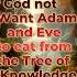 Why God Protected Adam And Eve From The Tree Of Knowledge Biblestudy