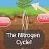 The Nitrogen Cycle