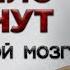 Правило 5 минут прокрастинация долой Как обмануть мозг и начать работать