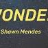 Shawn Mendes Wonder Lyrics