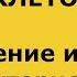 Зоология беспозвоночных Лекция 1 ч 1 Введение и общая характеристика одноклеточных