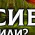 СПАСИБО плохое слово На Руси не говорили слово спасибо Почему нельзя говорит спасибо ОСОЗНАНКА