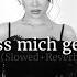 AYLIVA Lass Mich Gehen Slowed Reverb Lyrics