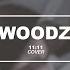 WOODZ TAEYEON 태연 11 11 COVER By WOODZ