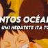 ONE PIECE OPENING 14 WE FIGHT TOGETHER Sub Español Romaji AMV