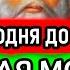 Только сегодня 19 ДЕКАБРЯ Это сильная православная молитва за сына Помолитесь за него