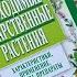 Обзор на книгу Самые необходимые лекарственные растения И Куреннов