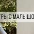 ВЛОГ МОЙ ДЕНЬ С МАЛЫШОМ ИГРЫ В 2 ГОДА РАСПАКОВКА ИЗ ЗОЛОТОГО ЯБЛОКА СДЕЛАЛИ ПЕРЕСТАНОВКУ