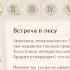 Встреча в Лесу Где Найти Плохих Людей в Деревне Вимара Геншин Импакт Сумеру Гайд