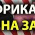 Африканские лидеры встали на защиту Путина