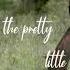 All The Pretty Little Horses Lyric Video