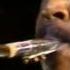 Elvin Jones A Love Supreme Live In Japan 1988