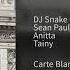 DJ Snake Sean Paul Anitta Ft Tainy Fuego Audio