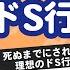 28万人調査 死ぬまでにされたい理想のドS行為8選 聞いてみたよ